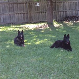 Meet your Posher, Gary